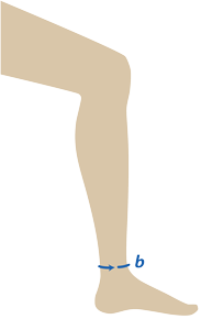 подбор размера компрессионных гольфов